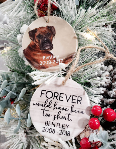 Forever Would Have Been Too Short Pet Memorial Ceramic Ornament