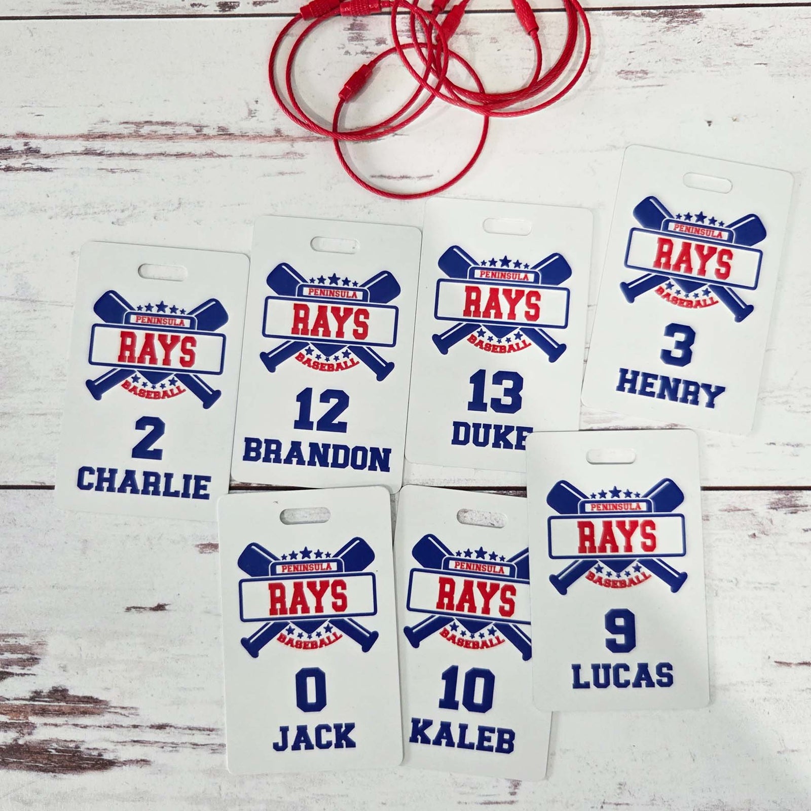 Baseball Team Sports Bag Tag
