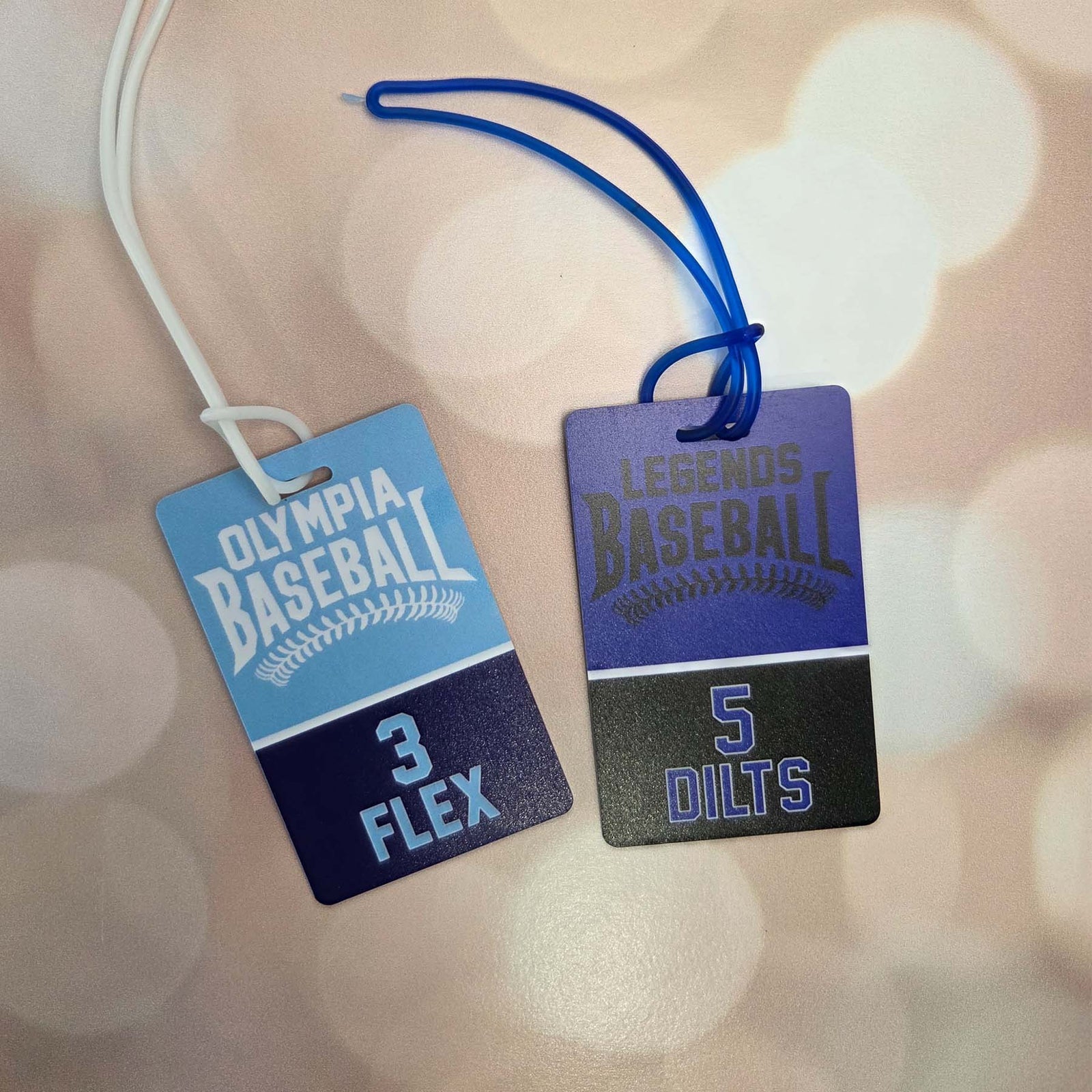 Baseball Team Sports Bag Tag