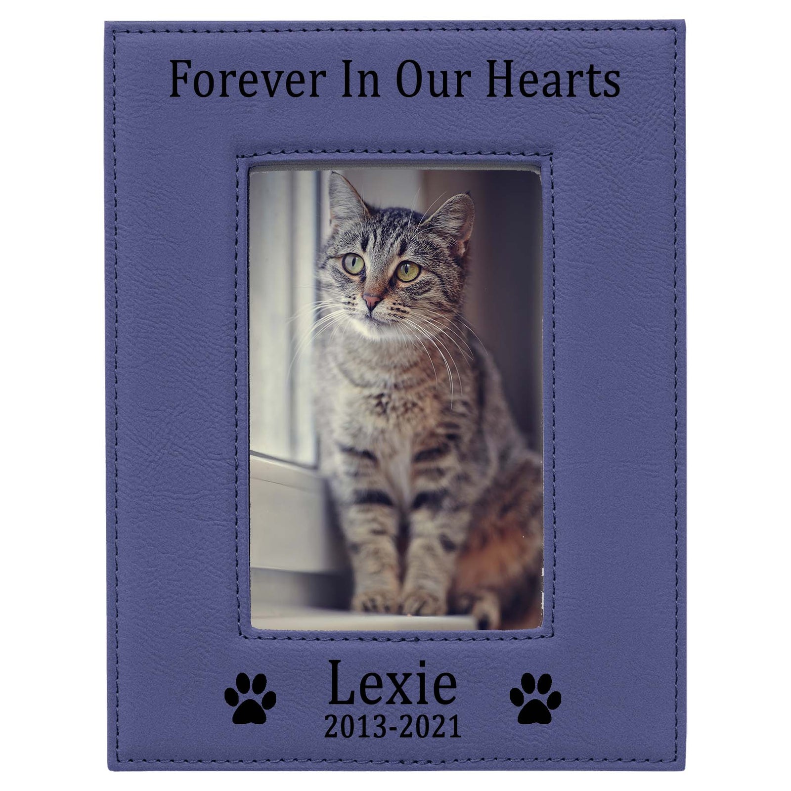 Forever In Our Hearts - Pet Memorial Leatherette Picture Frame