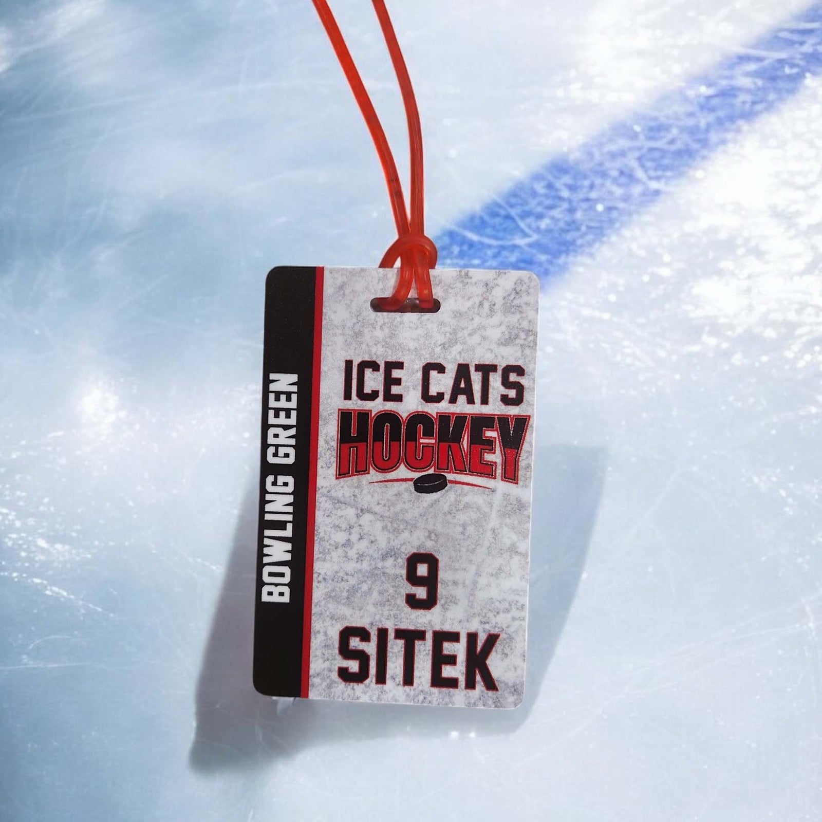 Hockey Team Sports Bag Tag