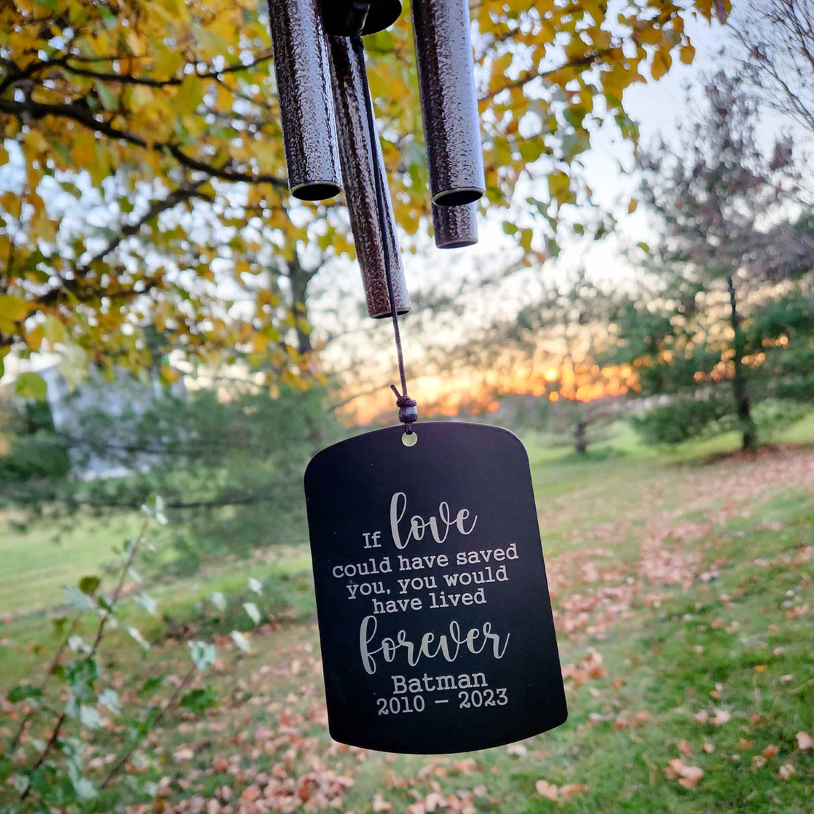 If Love Could Have Saved You Personalized Engraved Pet Memorial Wind Chime by Sunny Box