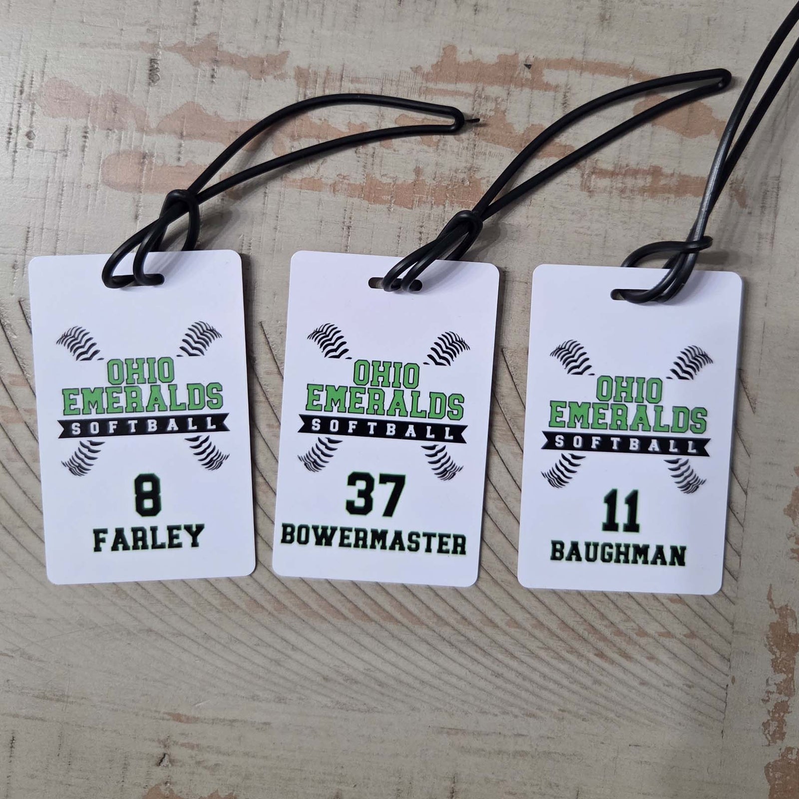 Softball Team Sports Bag Tag 3