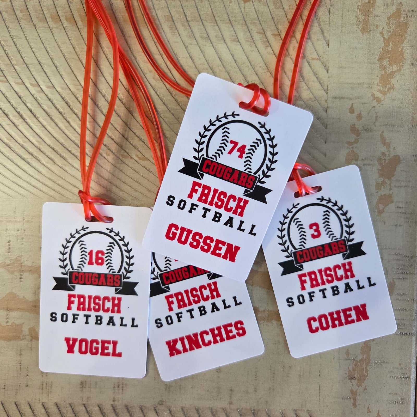Softball Team Sports Bag Tag 4