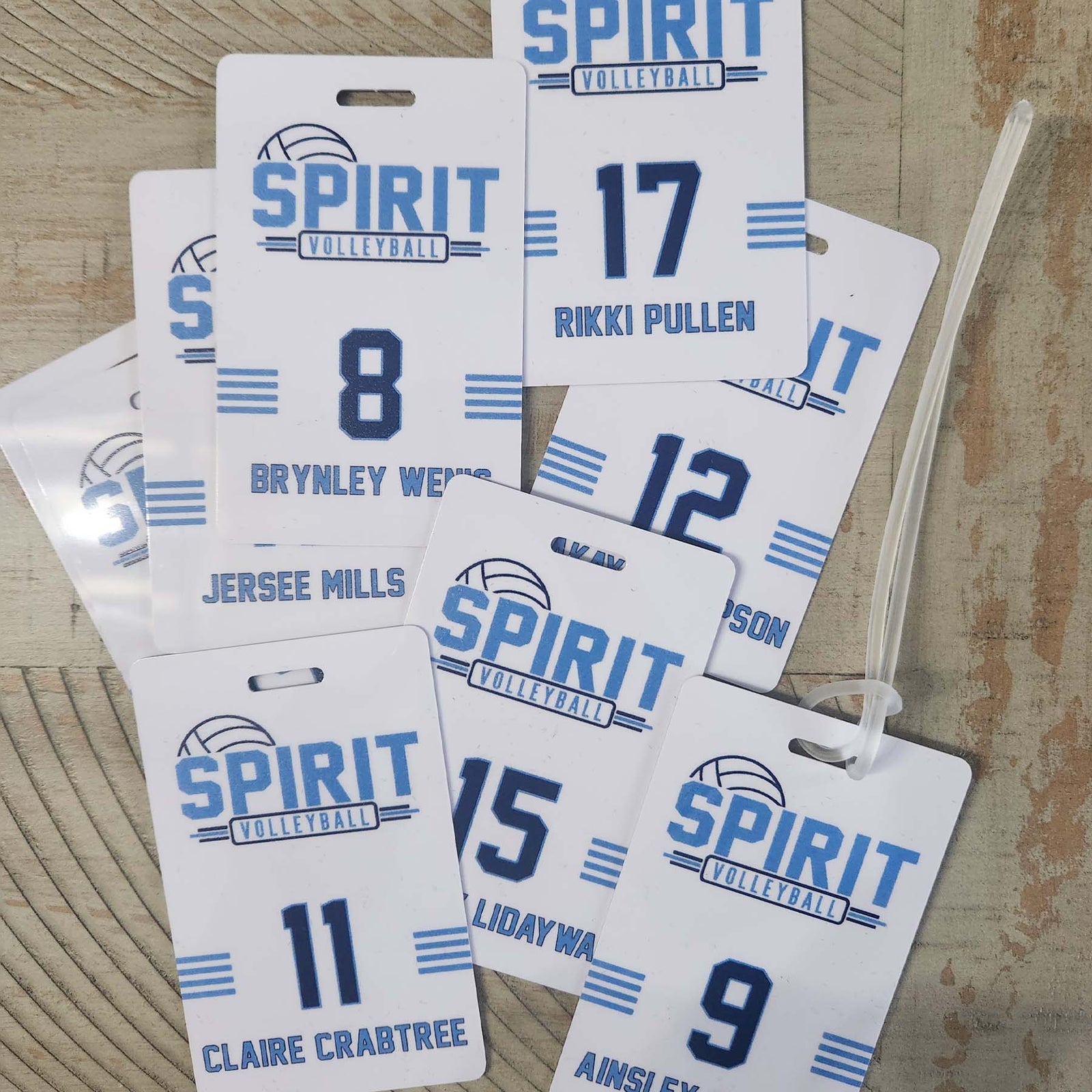 Volleyball Team Sports Bag Tag