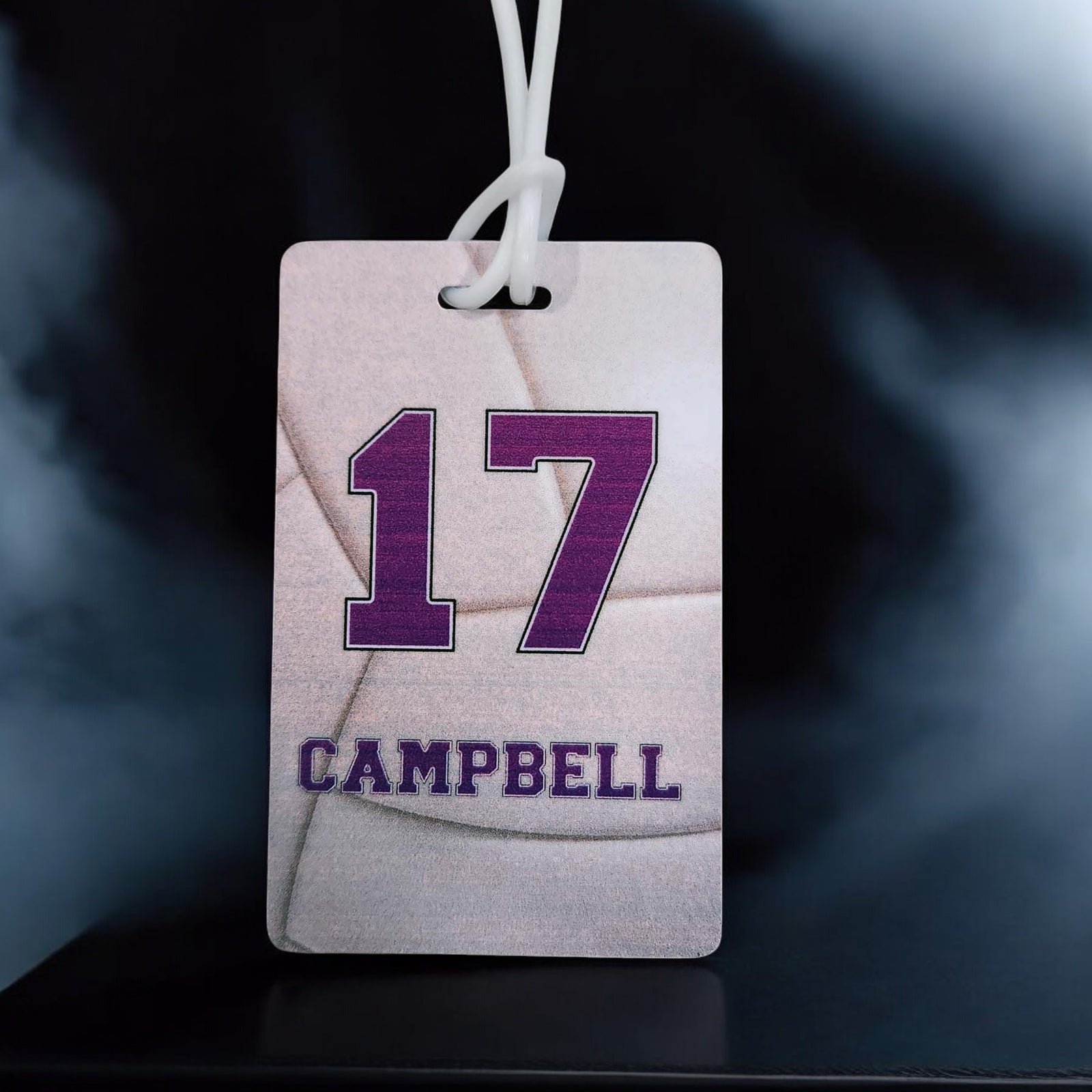 Volleyball Team Sports Bag Tag