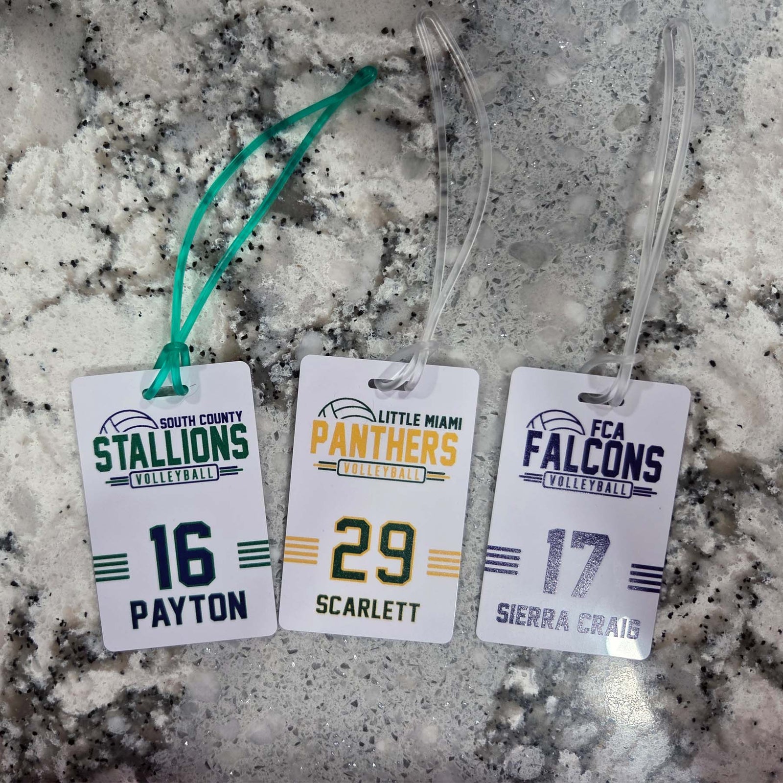 Volleyball Team Sports Bag Tag