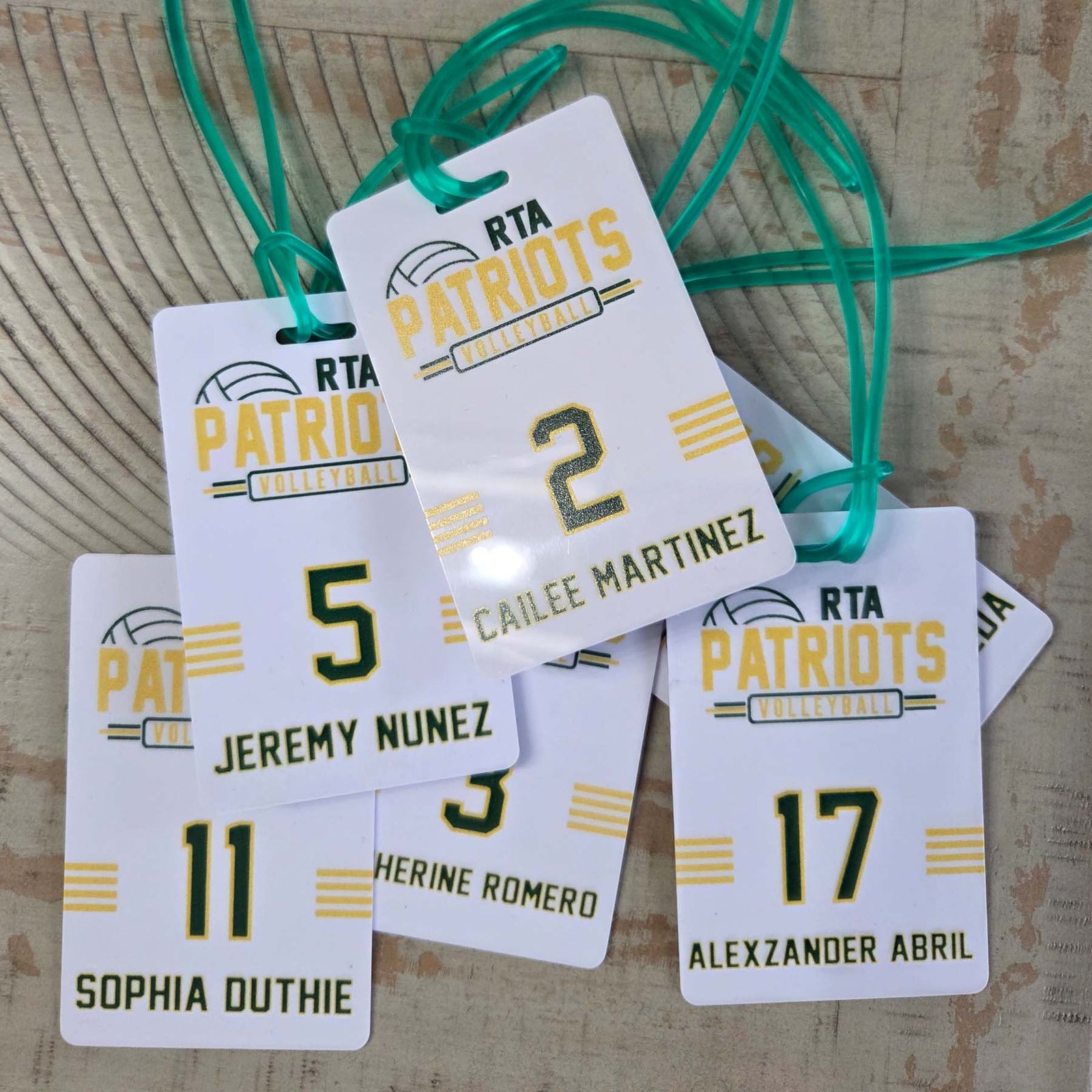 Volleyball Team Sports Bag Tag