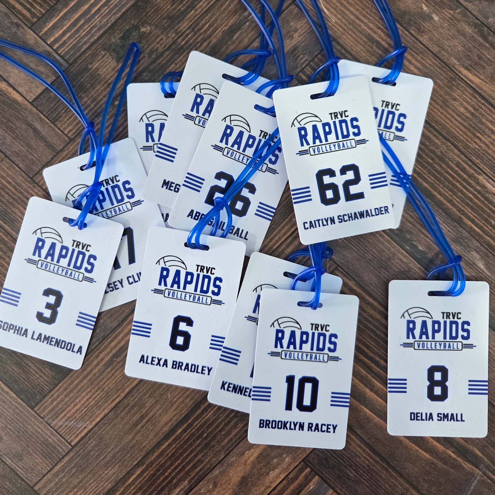 Volleyball Team Sports Bag Tag