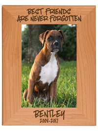Best Friends Are Never Forgotten - Pet Memorial Personalized Wood Engraved Frame - Sunny Box