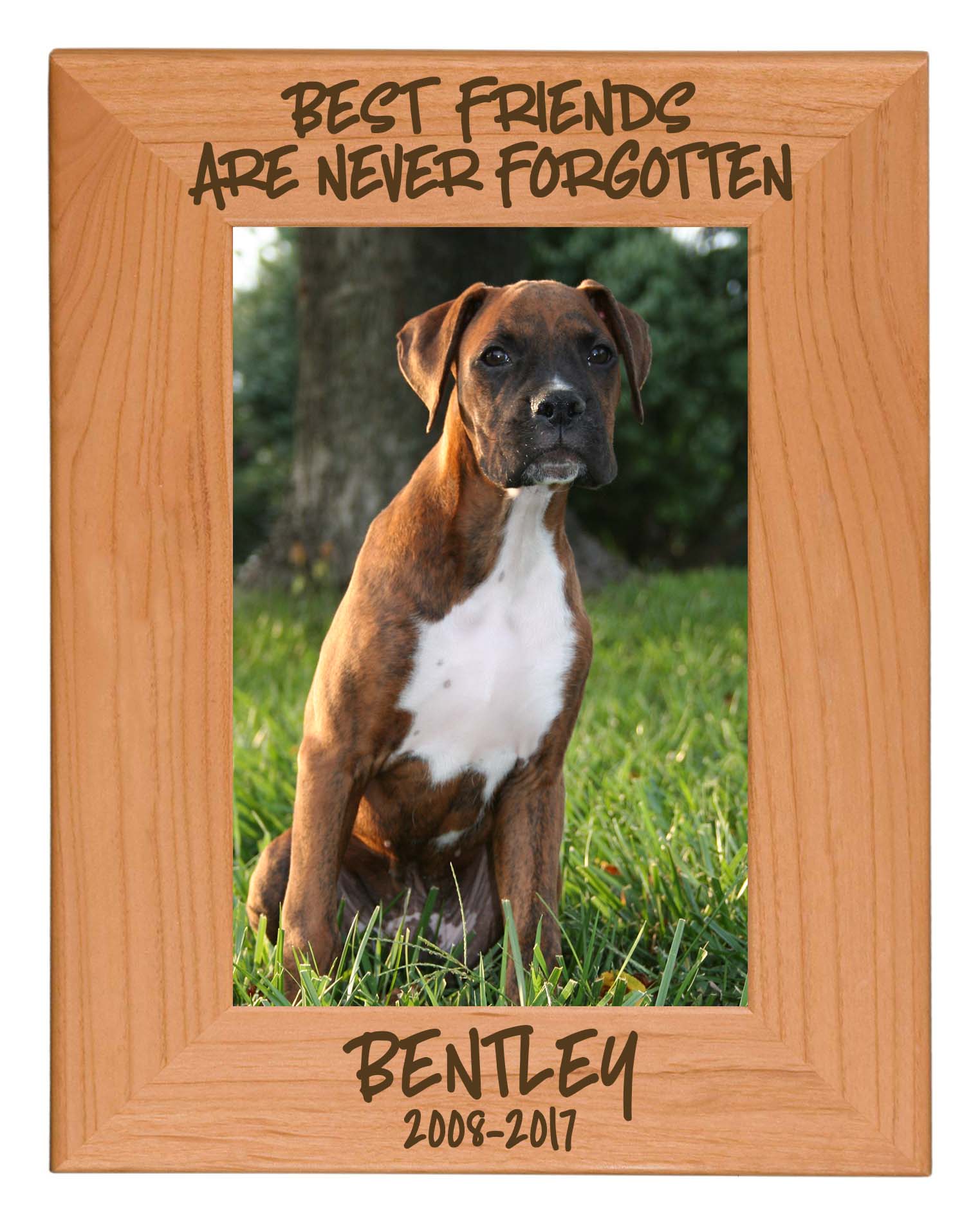 Best Friends Are Never Forgotten - Pet Memorial Personalized Wood Engraved Frame - Sunny Box