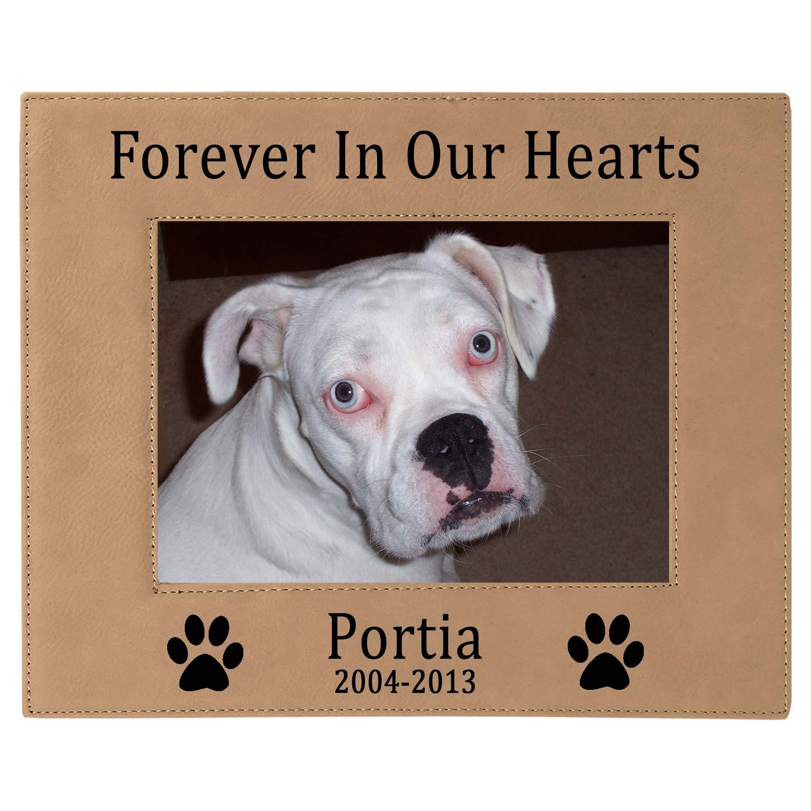 Forever In Our Hearts - Pet Memorial Leatherette Picture Frame