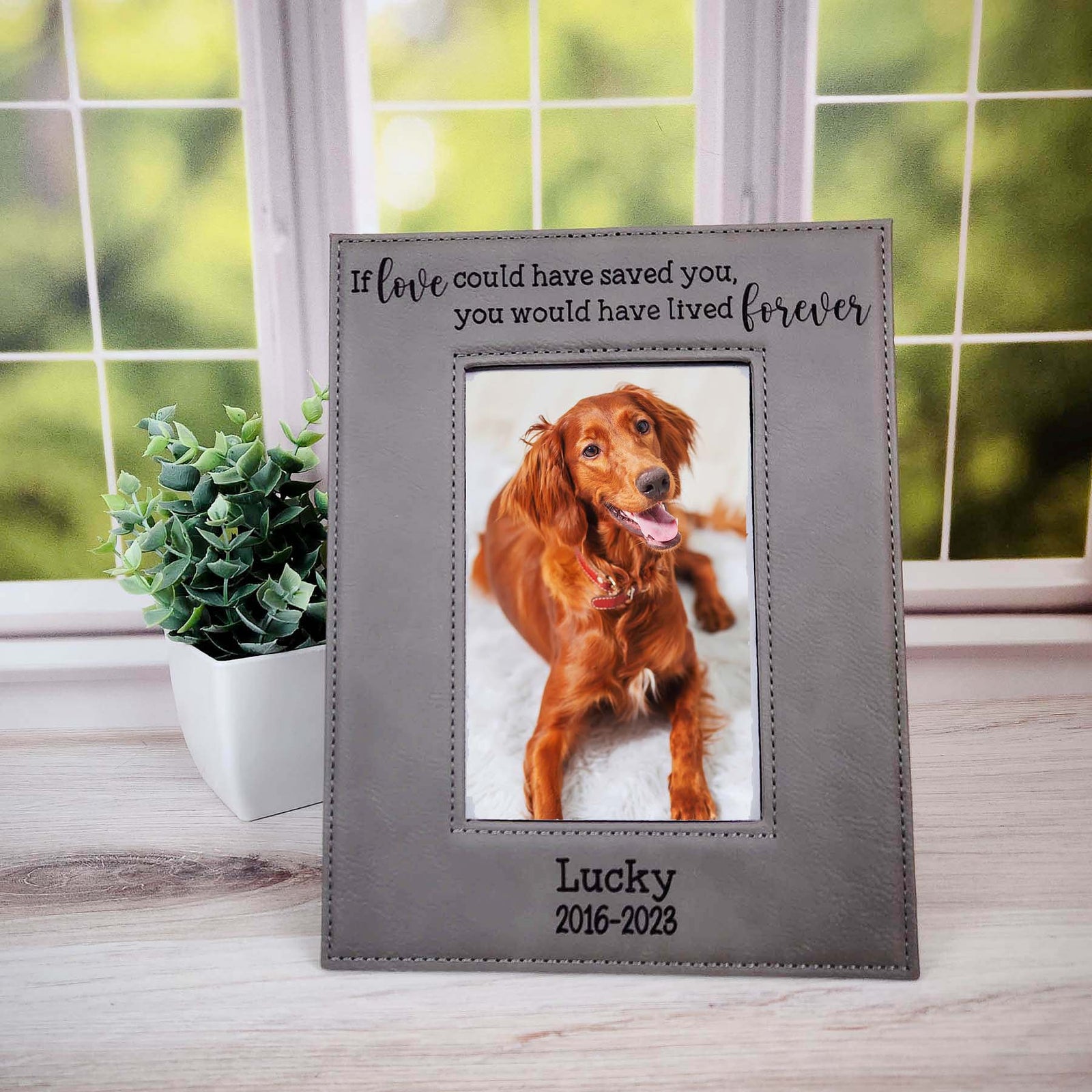 If Love Could Have Saved You, You Would Have Lived Forever - Pet Memorial Leatherette Picture Frame