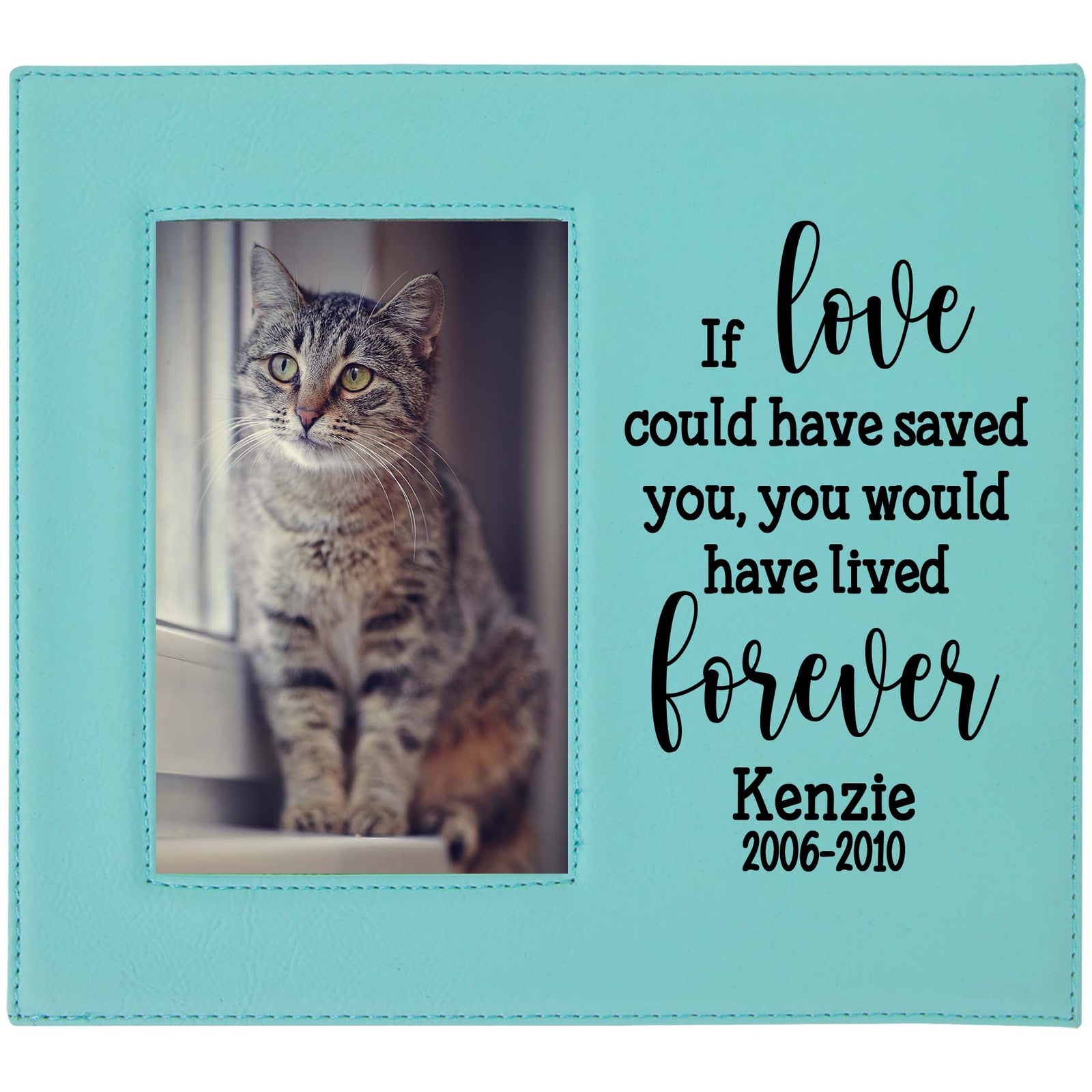 If love could have saved you - custom pet memorial leatherette frame teal - Sunny Box