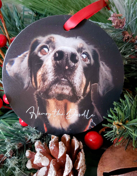 Pet Memorial Ornament - Sunny Box