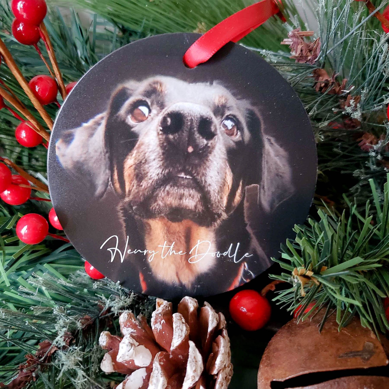 Pet Memorial Ornament - Sunny Box